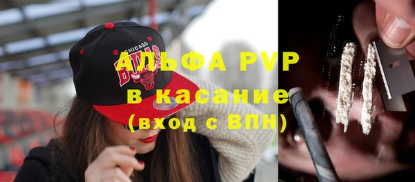 хмурый Корсаков