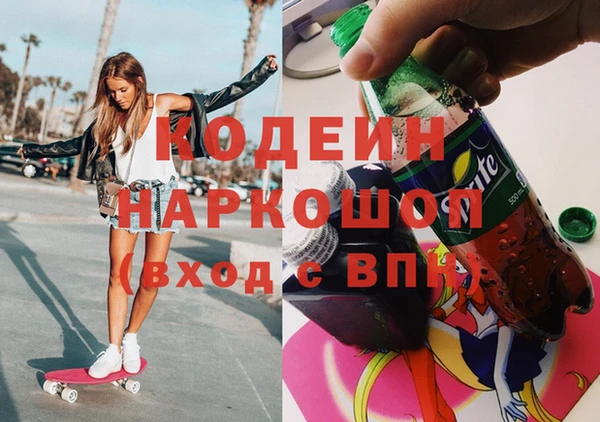 хмурый Корсаков
