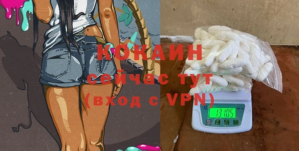 хмурый Корсаков