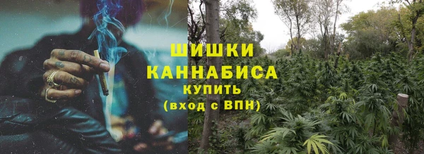 хмурый Корсаков
