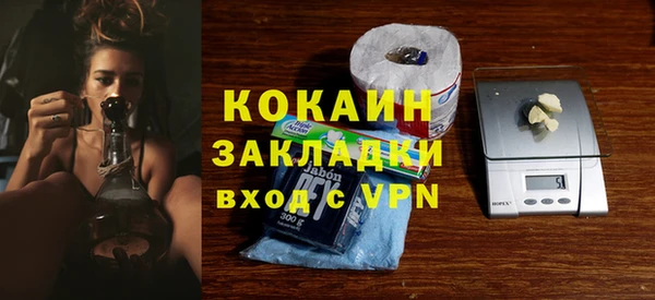 хмурый Корсаков