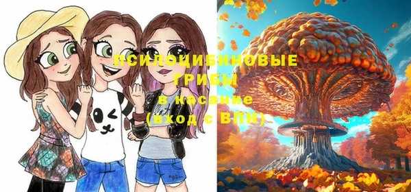 МДПВ Коряжма